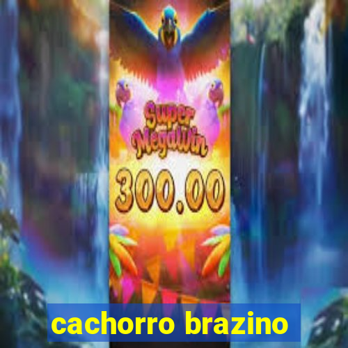 cachorro brazino